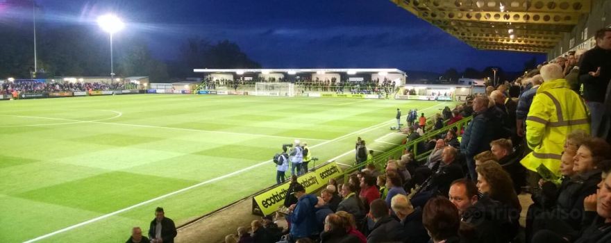 The New Lawn Stadium
