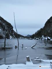 Avalanche Lake