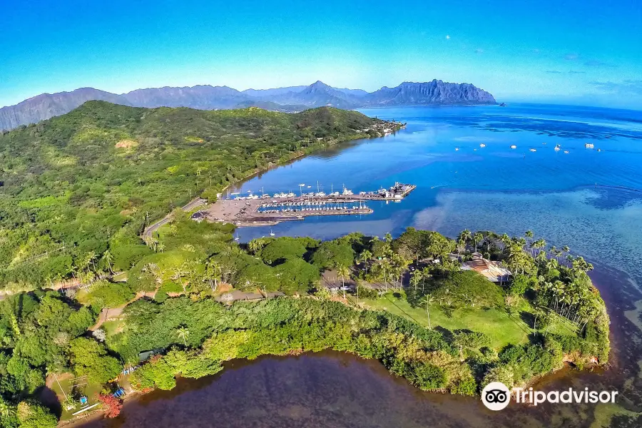 Kama'aina Kayak and Snorkel EcoVentures