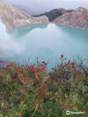 Java Bromo Ijen Adventure