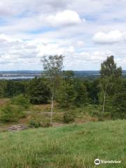 Hohoej Burial Mound