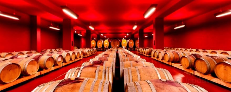 Cantina Tramin