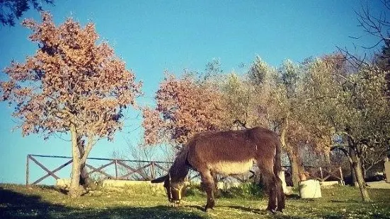 La Piccola Bottega