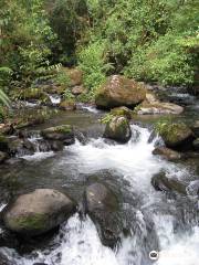 Parque Internacional La Amistad