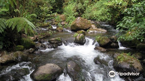 La Amistad International Park