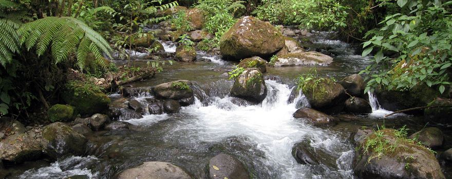 La Amistad International Park
