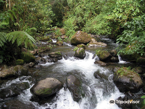 La Amistad International Park
