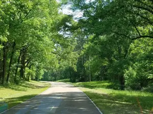 The Natchez Trace Parkway