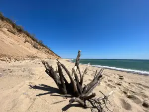 Nauset Light Beach