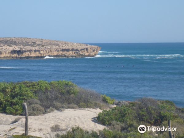 Cactus Beach Tickets [2026] - Promos, Prices, Reviews & Opening Hours |  Trip.com
