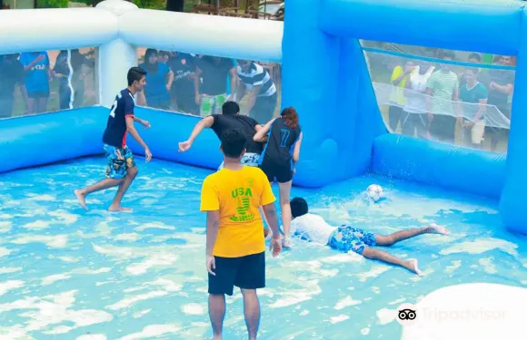 斯霍林格阿納盧爾