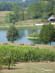 Chandler Hill Vineyards