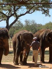 Hill Country Elephant Reserve