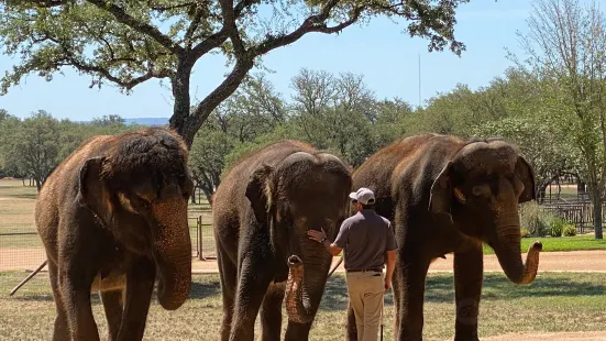 Hill Country Elephant Reserve