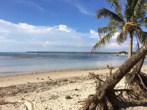 Ujung Genteng Beach