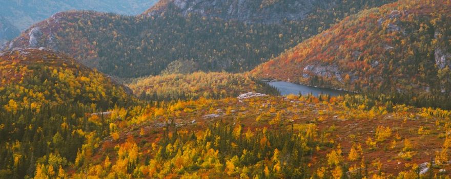 Grands-Jardins National Park