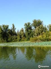 Lago Superiore