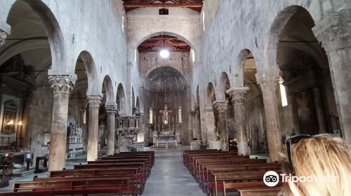 Duomo di Carrara