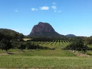 Glass House Mountains Lookout
