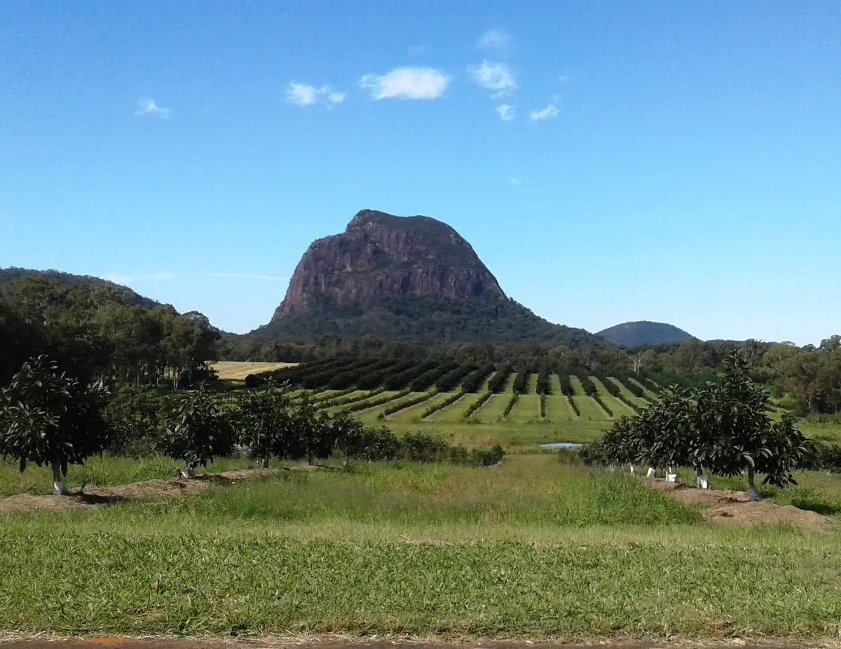 Glass House Mountains Lookout