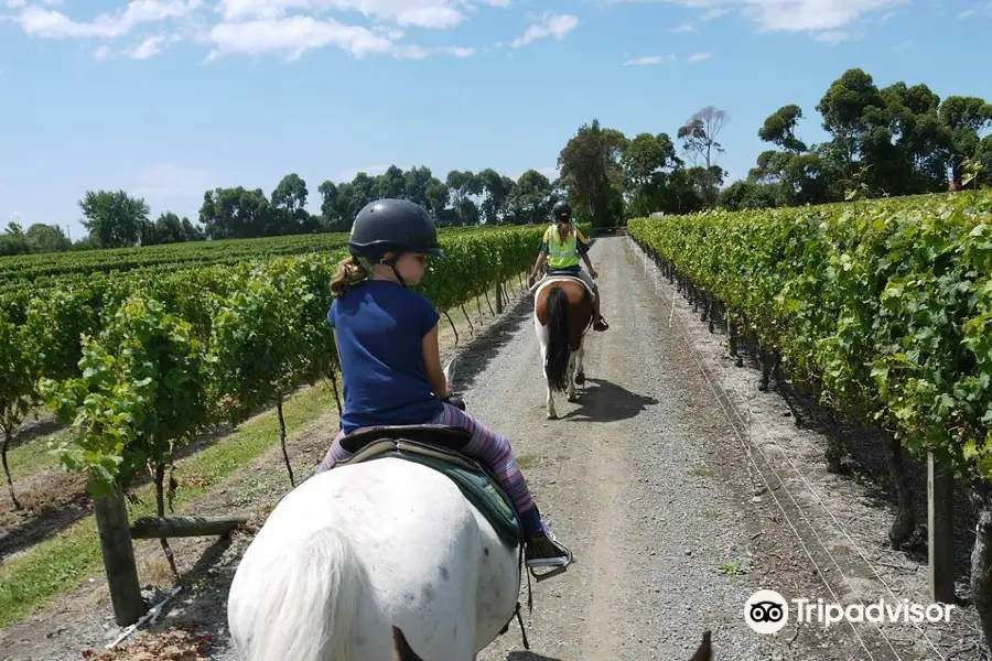 Hawkes Bay Farmyard Zoo