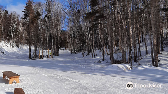 North Highlands Nordic