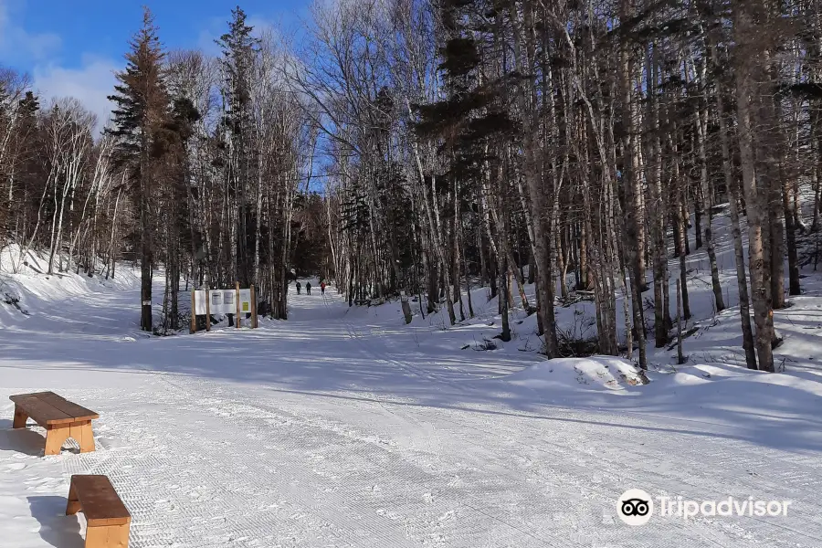 North Highlands Nordic