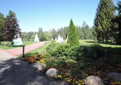 Bryansky District