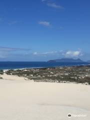 Dunes of Joaquina