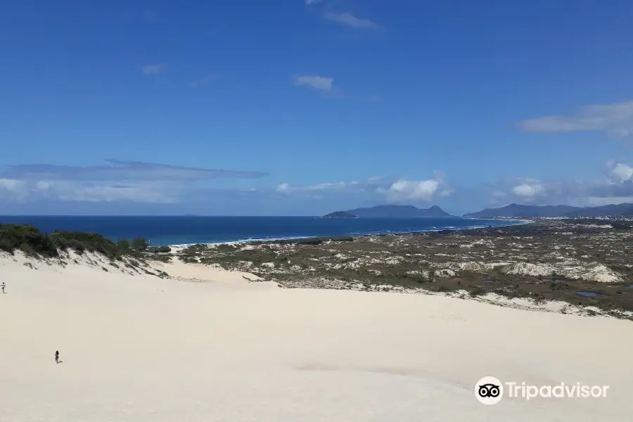 Dunes of Joaquina