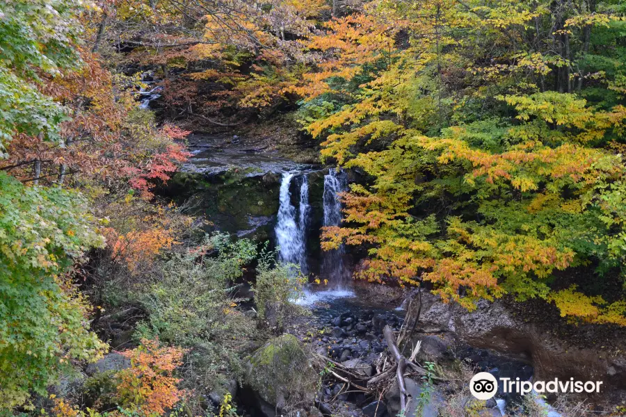 Yachiho Highland Natural Garden