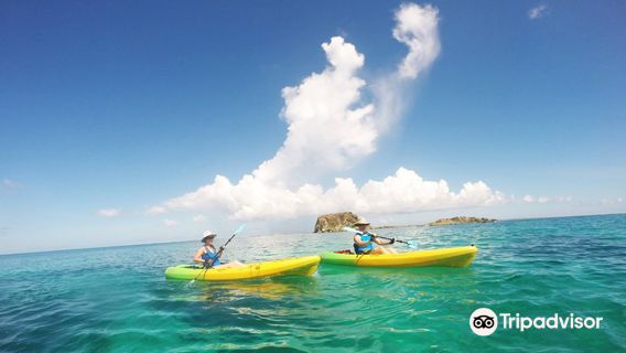 OC4 Island Paddle Sports