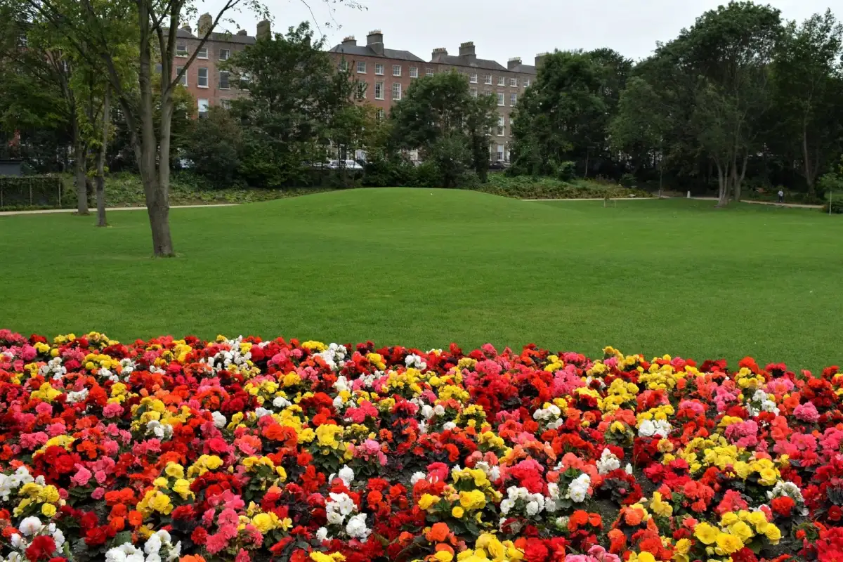 Merrion Square