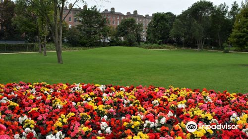 Merrion Square South