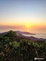 Pico do Papagaio