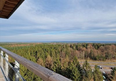 Wildpark Lueneburger Heide