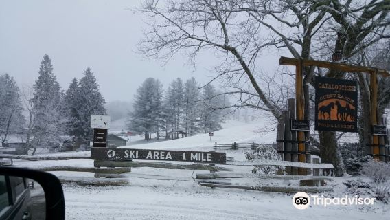 Cataloochee Ski Area
