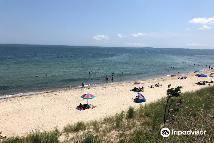 Oak Bluffs Town Beach