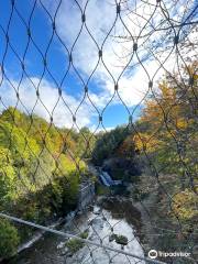 Fall Creek Suspension Bridge