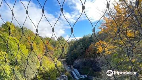 Fall Creek Suspension Bridge