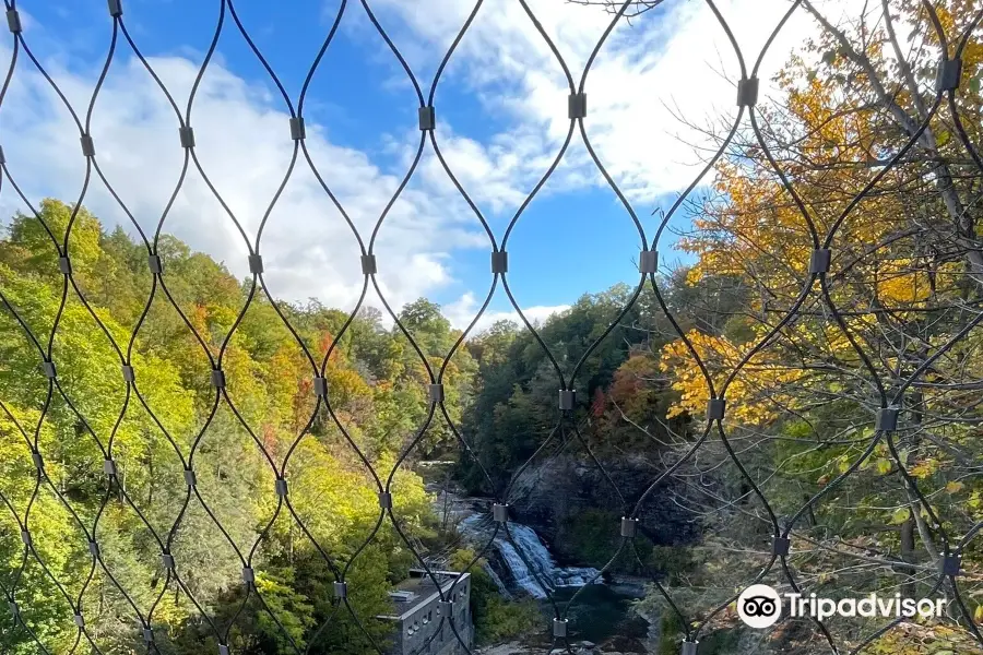 Fall Creek Suspension Bridge