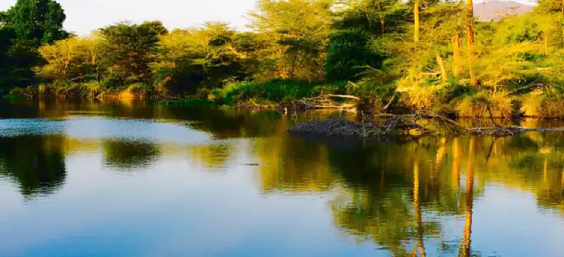 Hotels in Voi