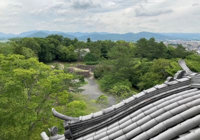 Iga Ueno Castle