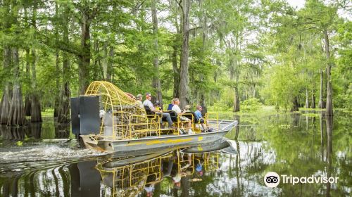 McGee's Louisiana Swamp & Airboat Tours