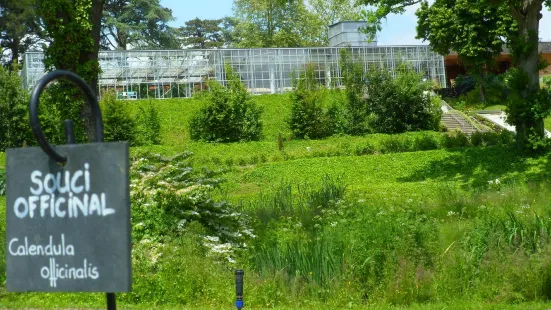 Camifolia Garden