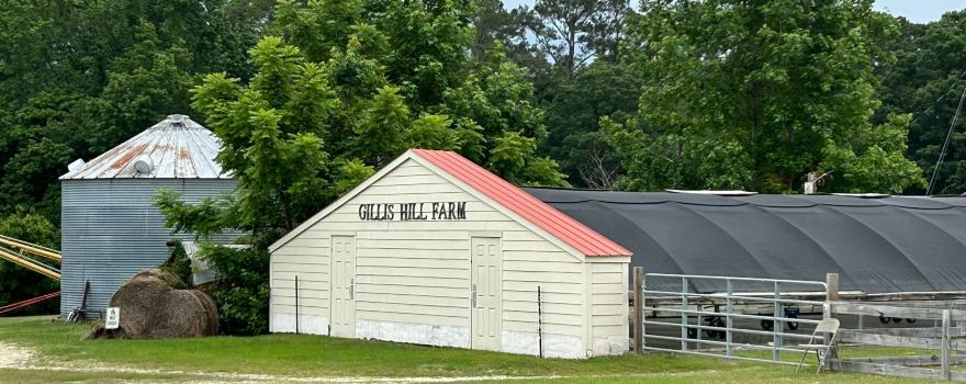Gillis Hill Farm