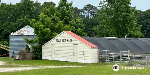 Gillis Hill Farm