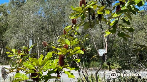 Maroochy River Conservation Park