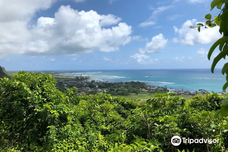 Maʻakua Ridge Trail