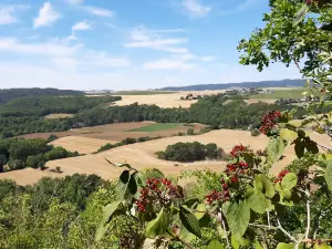 Traumpfad Nette-Schieferpfad, 56753 Trimbs